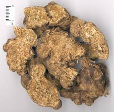 Choosing Between Bai Zhu and Cang Zhu